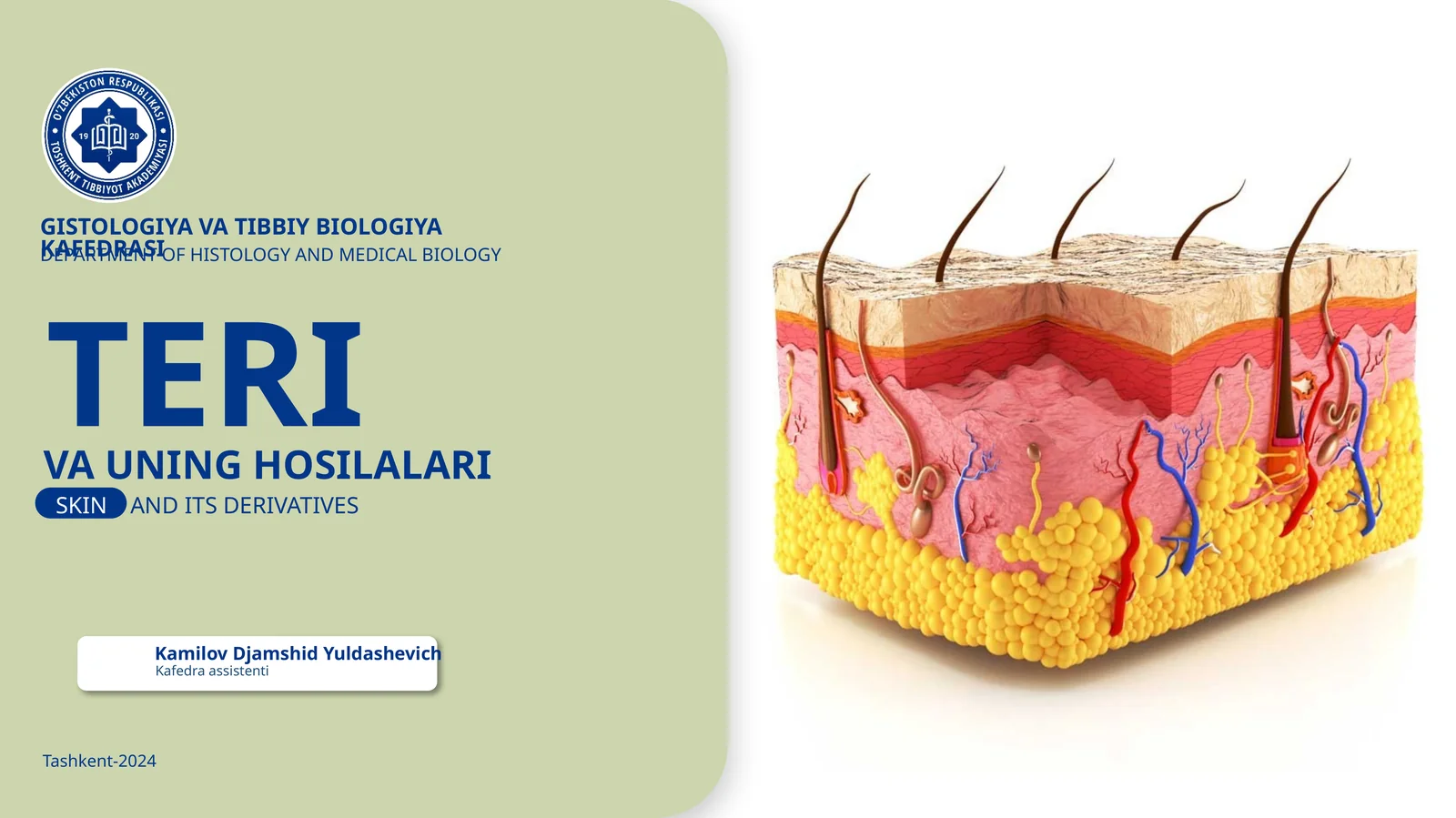 GISTOLOGIYA VA TIBBIY BIOLOGIYAKAFEDRASI TERI VA UNING HOSILALARI