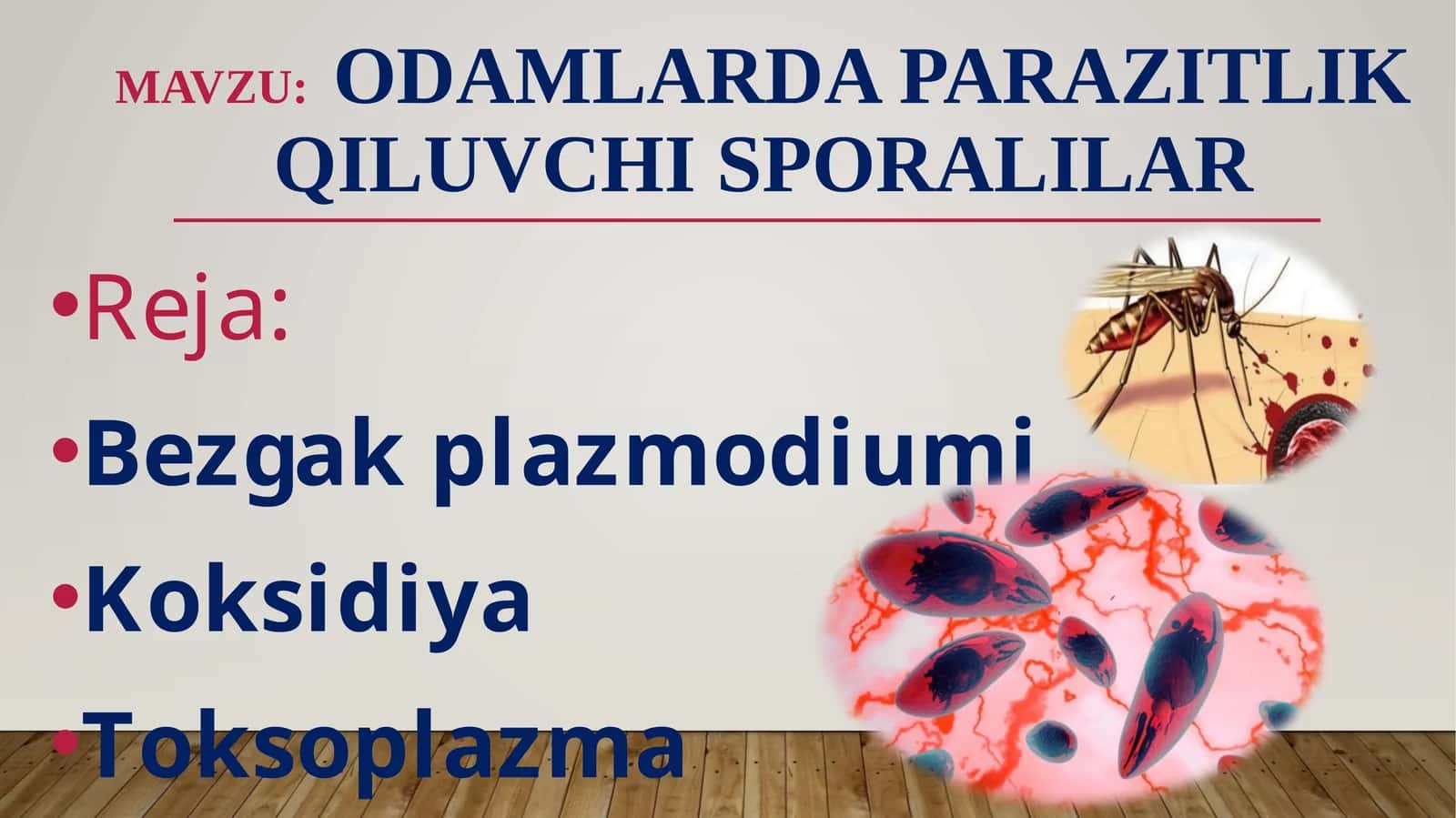 Odamlarda parazitlik qiluvchi sporalilar