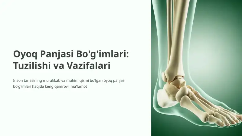 Oyoq Panjasi Bo'g'imlari