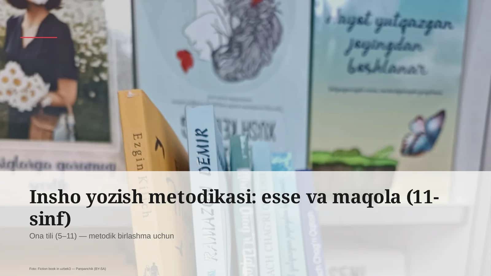Insho yozish metodikasi: esse va maqola (11-sinf)