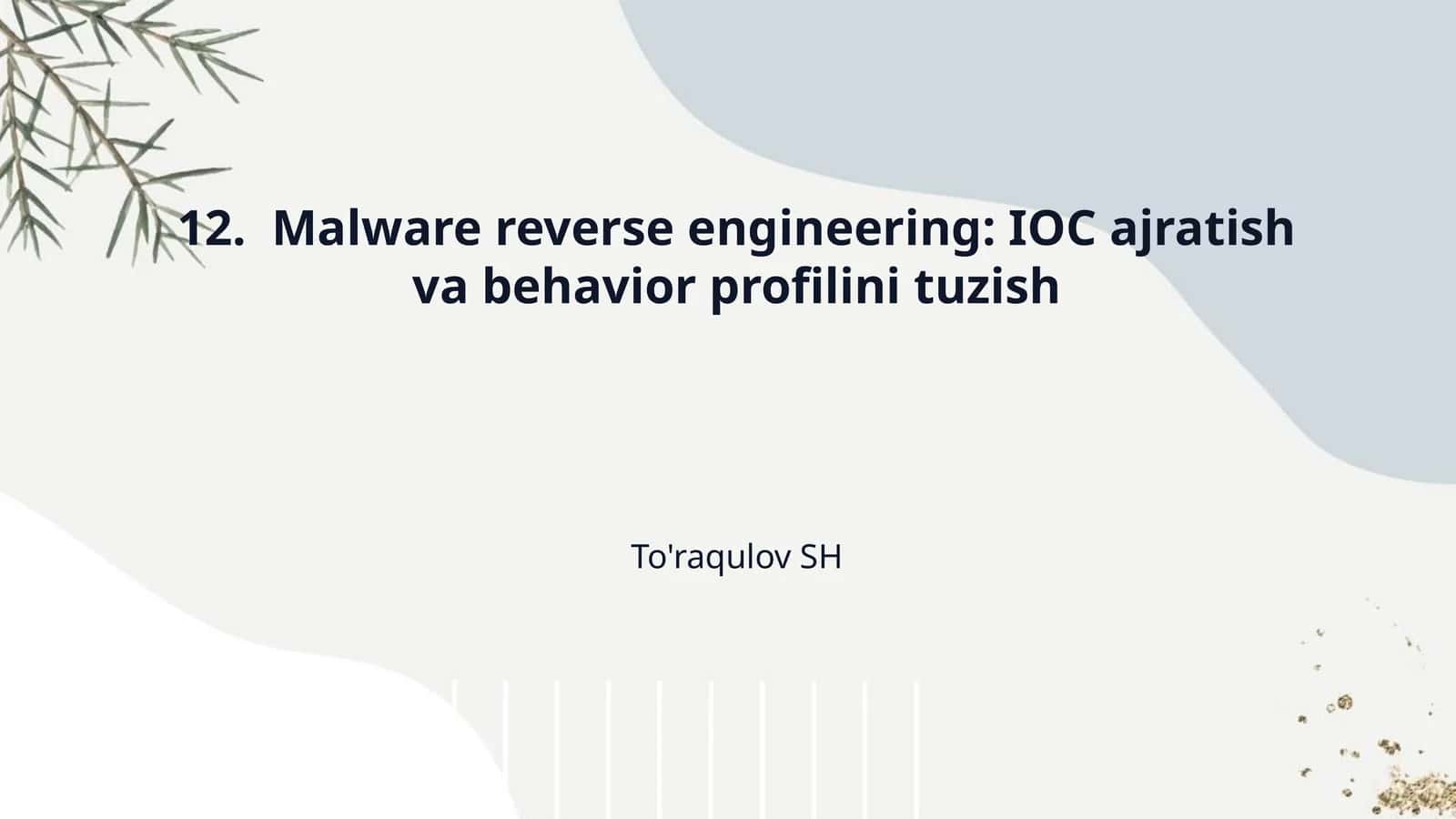 12.  Malware reverse engineering: IOC ajratish va behavior profilini tuzish