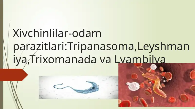 Xivchinlilar-odam parazitlari:Tripanasoma, leyshmaniya, trixomanada va lyambilya