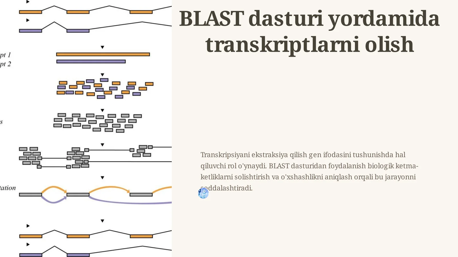 BLAST dasturi yordamida transkriptlarni olish