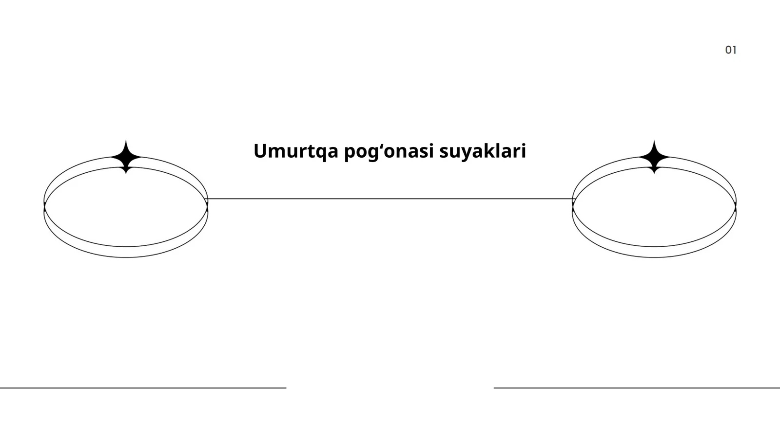 Umurtqa pogʻonasi suyaklari