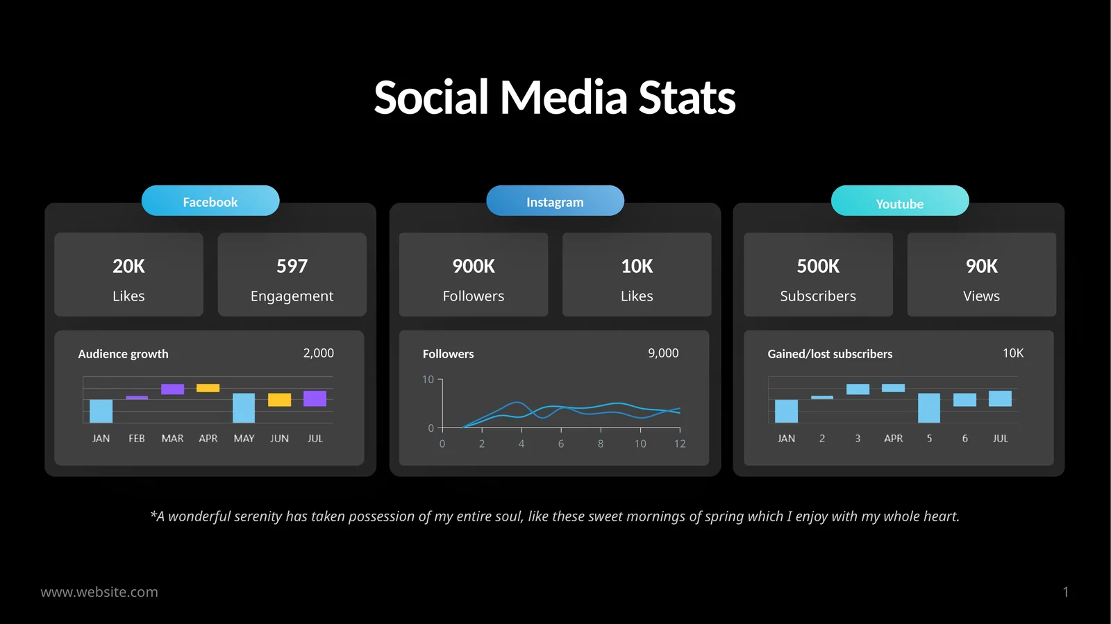 Social Media Stats