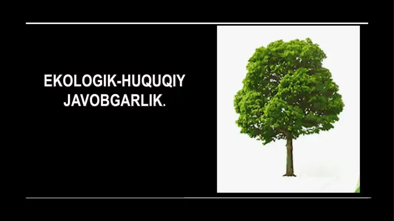 Ekologik-huquqiy Javobgarlik