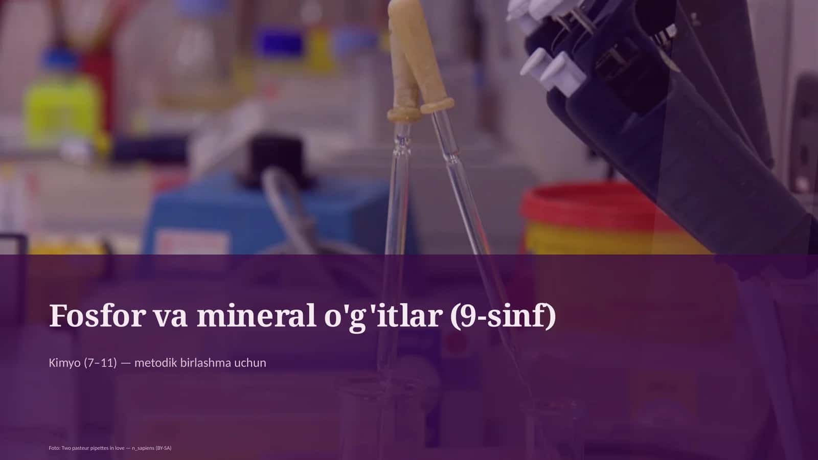 Fosfor va mineral o'g'itlar (9-sinf)