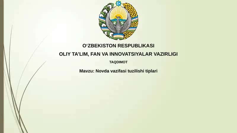 Novda vazifasi tuzilish tipalari
