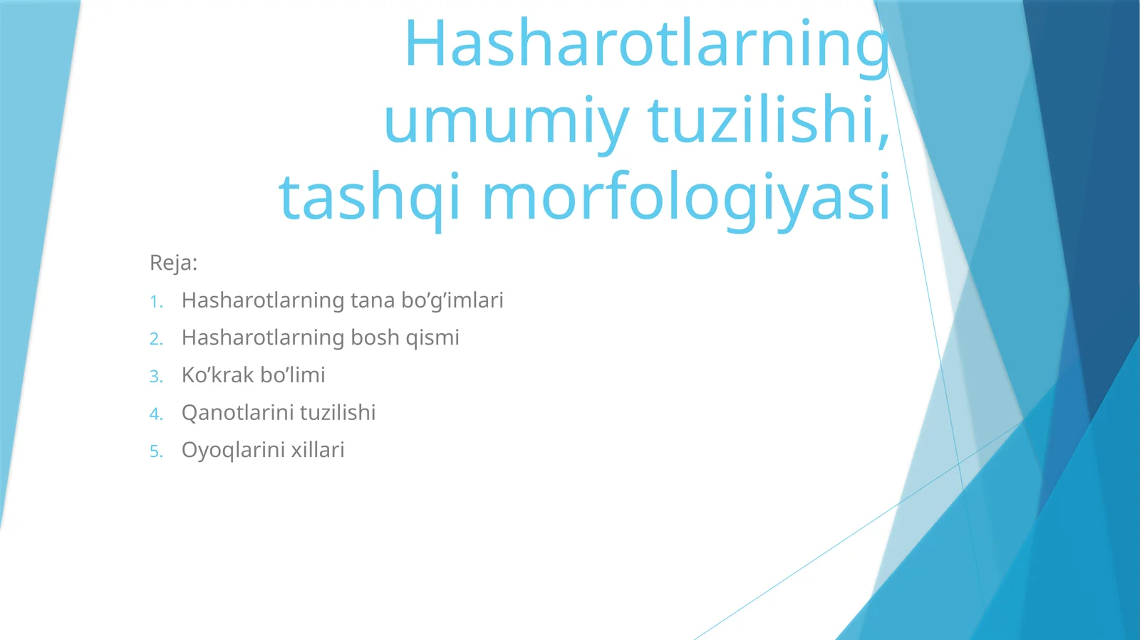 Hasharotlarning umumiy tuzilishi, tashqi morfologiyasi