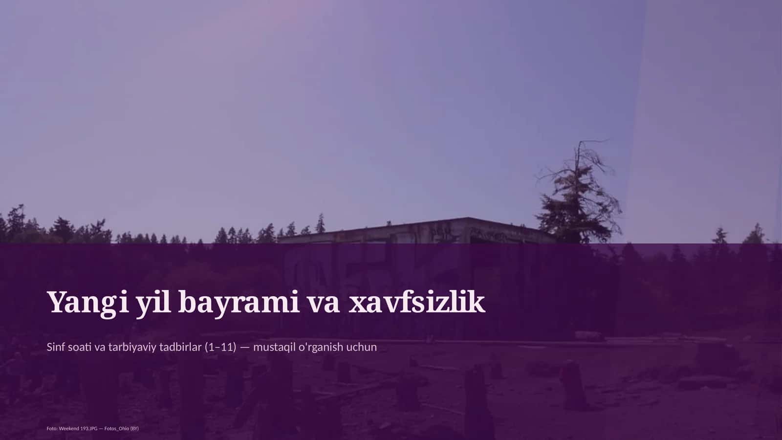 Yangi yil bayrami va xavfsizlik