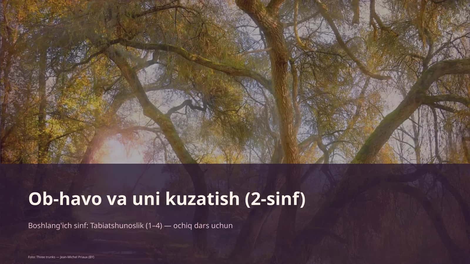 Ob-havo va uni kuzatish (2-sinf)