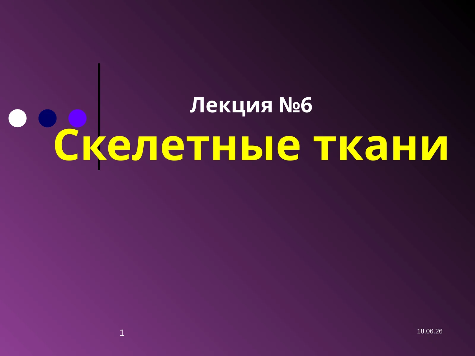 Лекция №6Скелетные ткани
