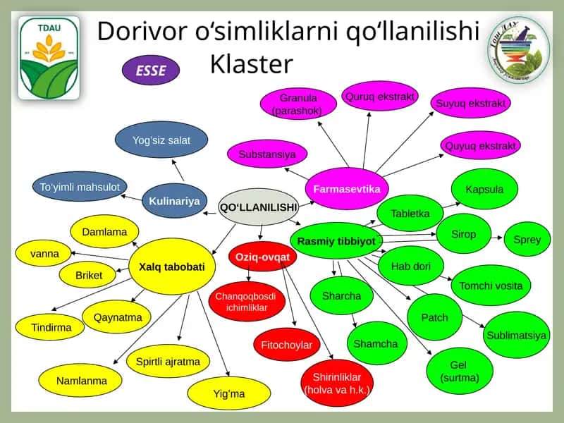 "QO‘LLANILISHI"