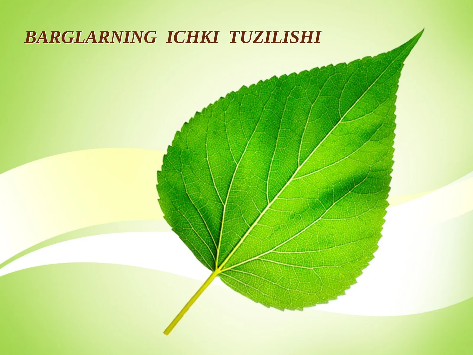 BARGLARNING ICHKI TUZILISHI
