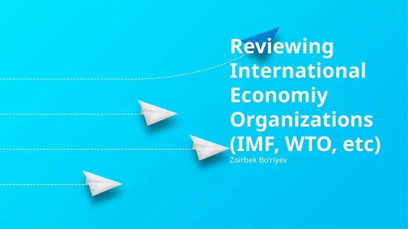 Reviewing International Economic Organizations (IMF, WTO, etc)