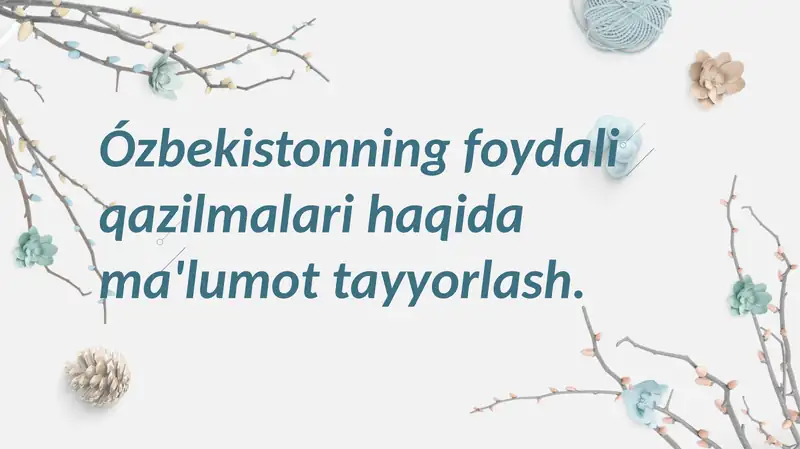 Oʻzbekistonning foydali qazilmalari haqida maʼlumot
