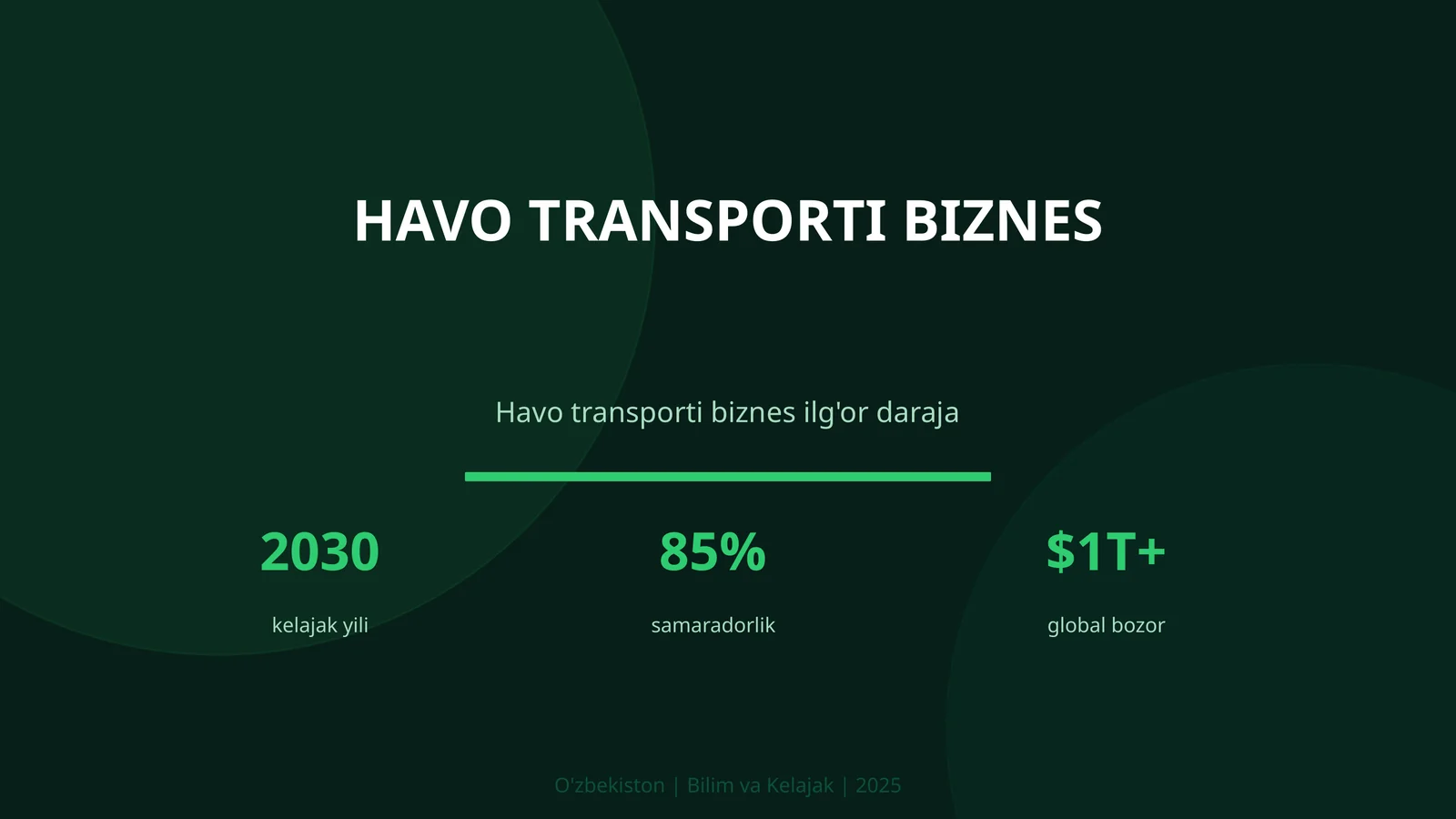 Havo transporti biznes