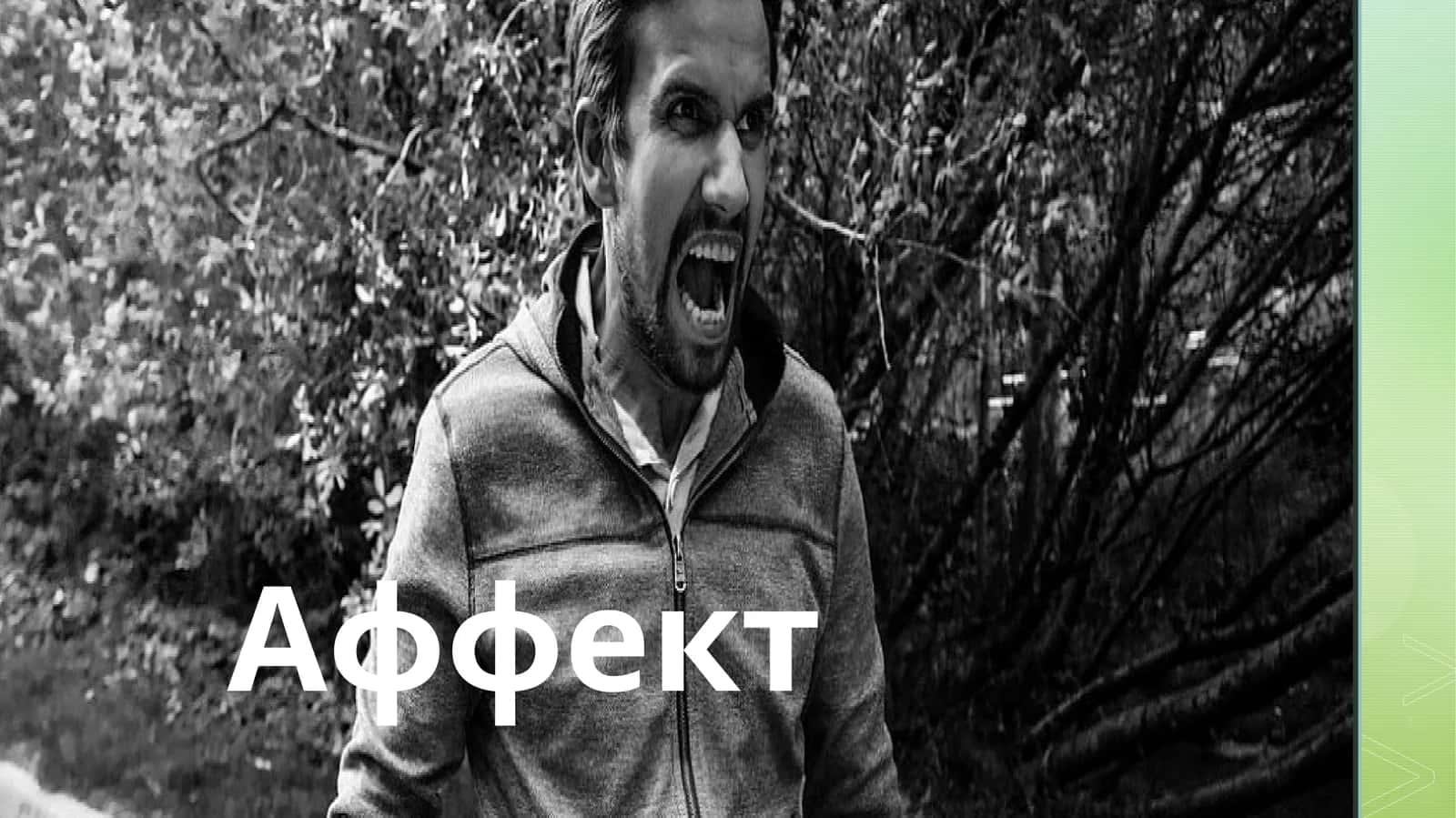 Аффект