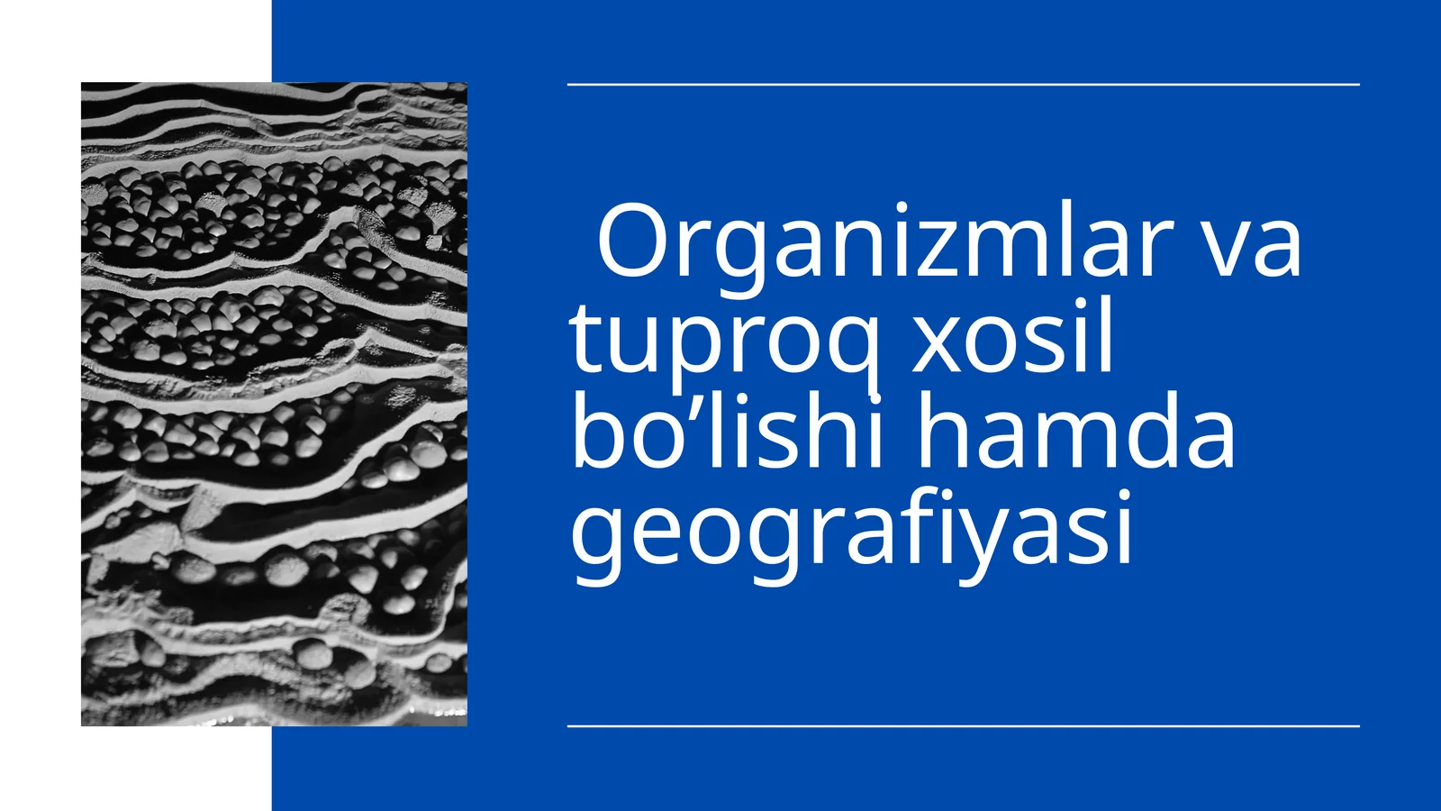 Organizmlar va tuproq hosil bo‘lishi hamda geografiyasi