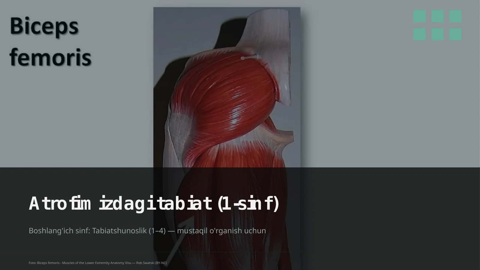 Atrofimizdagi tabiat (1-sinf)