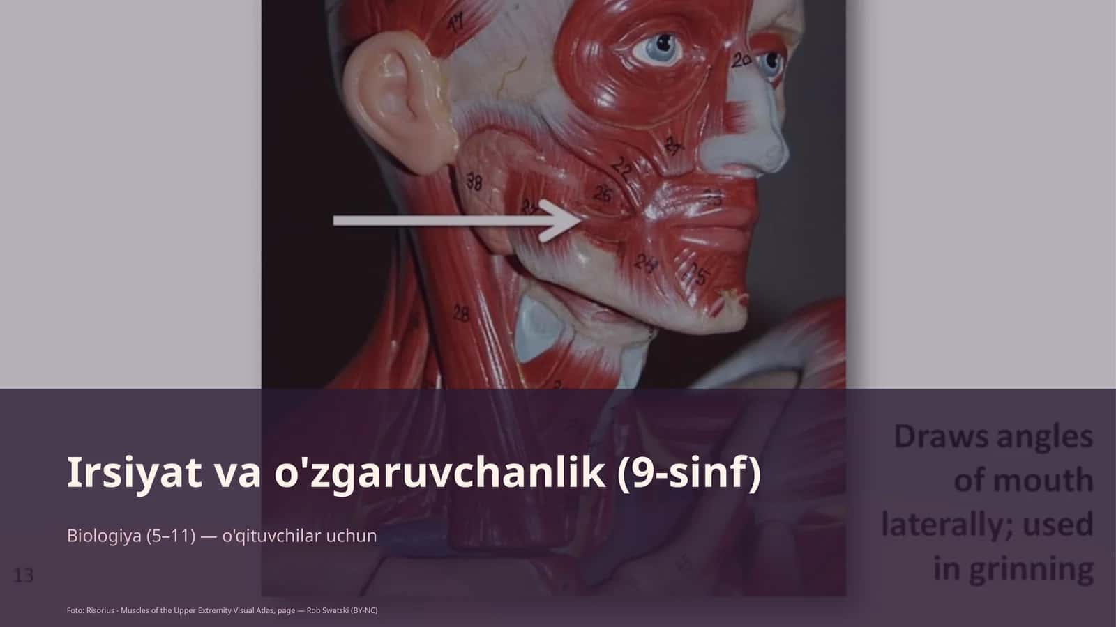 Biologiya (5–11) — o'qituvchilar uchun