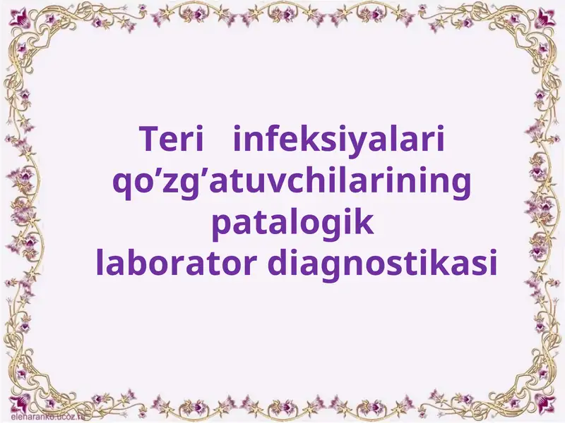 Teri infeksiyalari