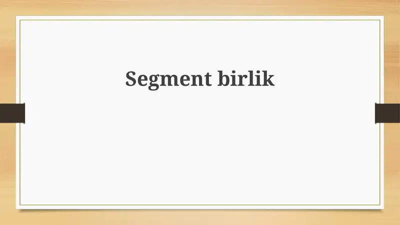 Segment birliklar