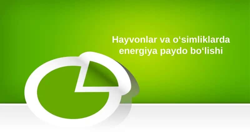 Hayvonlar va o‘simliklarda energiya paydo bo‘lishi