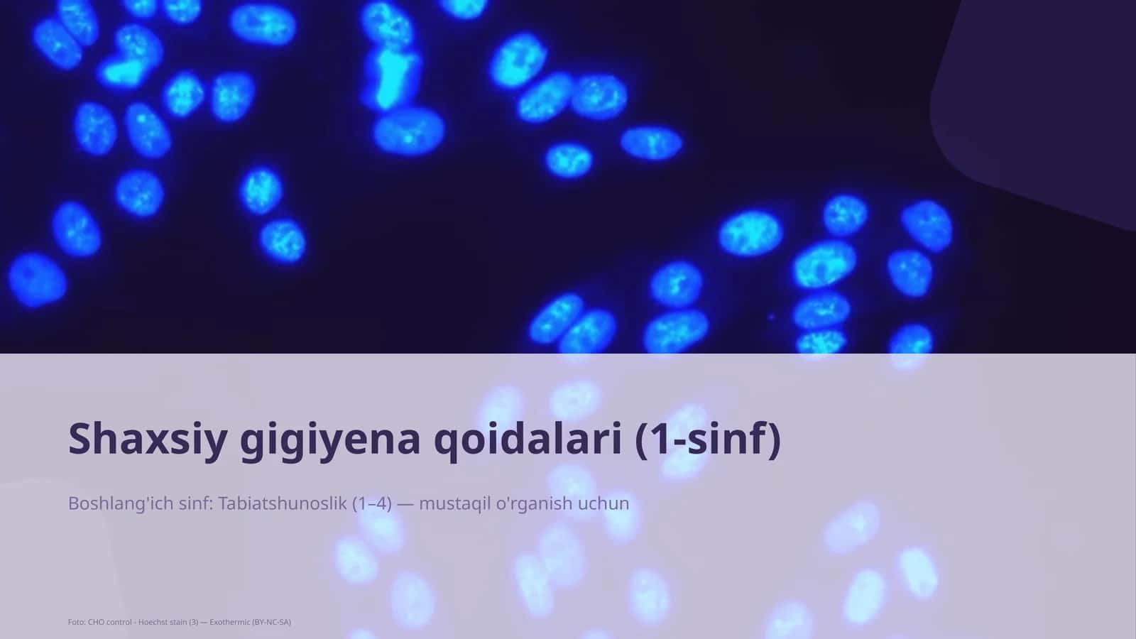 Shaxsiy gigiyena qoidalari (1-sinf)