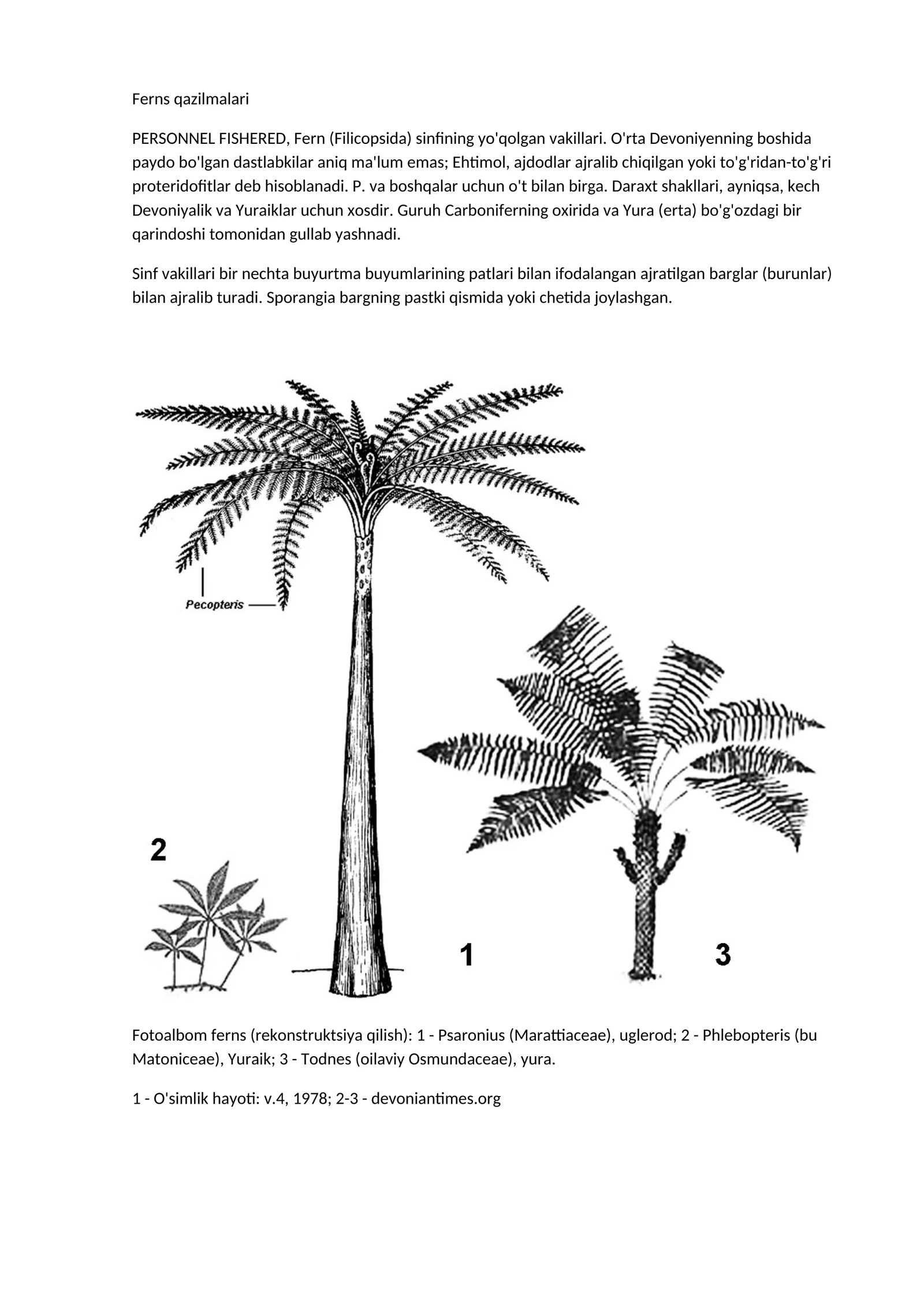 Ferns qazilmalari