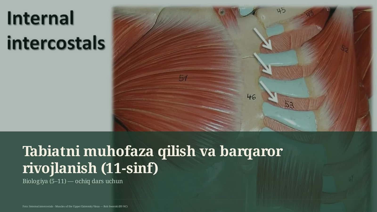 Tabiatni muhofaza qilish va barqaror rivojlanish (11-sinf)
