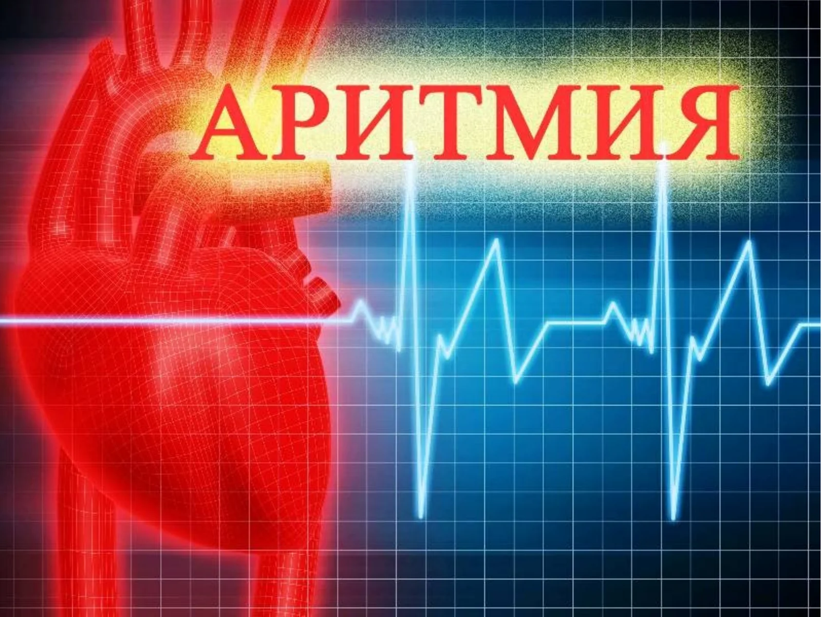 Юракнинг ўтқазувчи системаси