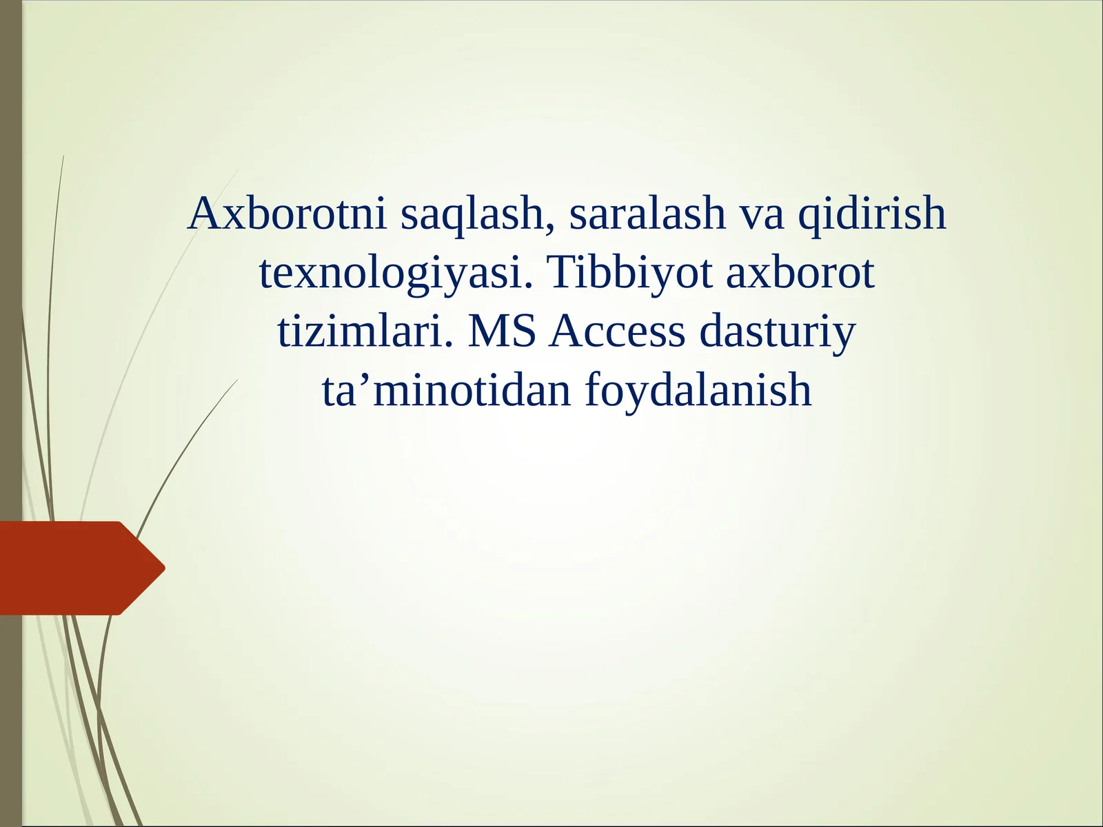 Axborotni saqlash, saralash va qidirish texnologiyasi. Tibbiyot axborot tizimlari. MS Access dasturiy ta’minotidan foydalanish