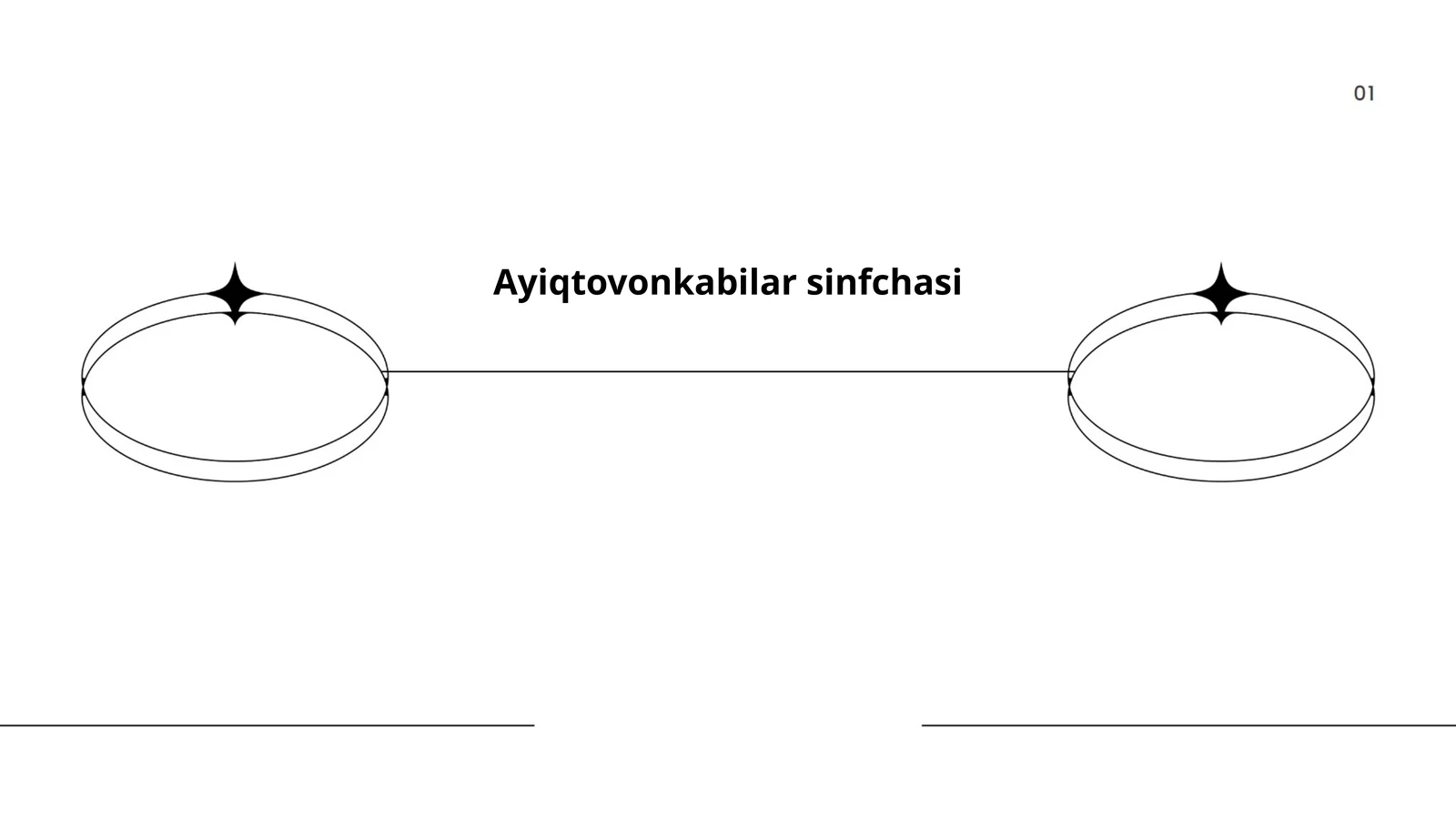 Ayiqtovonkabilar sinfchasi