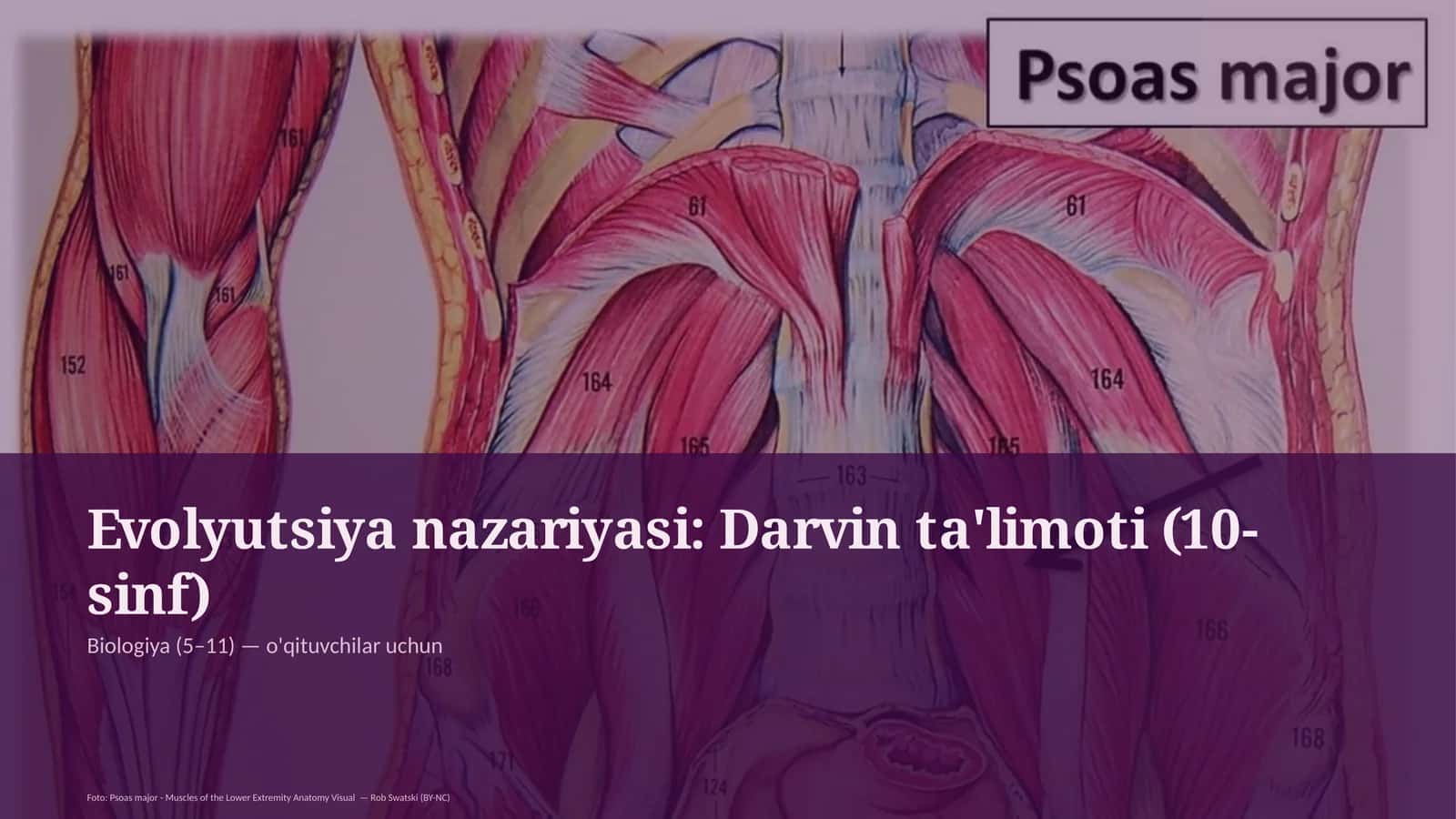 Evolyutsiya nazariyasi: Darvin ta'limoti (10-sinf)