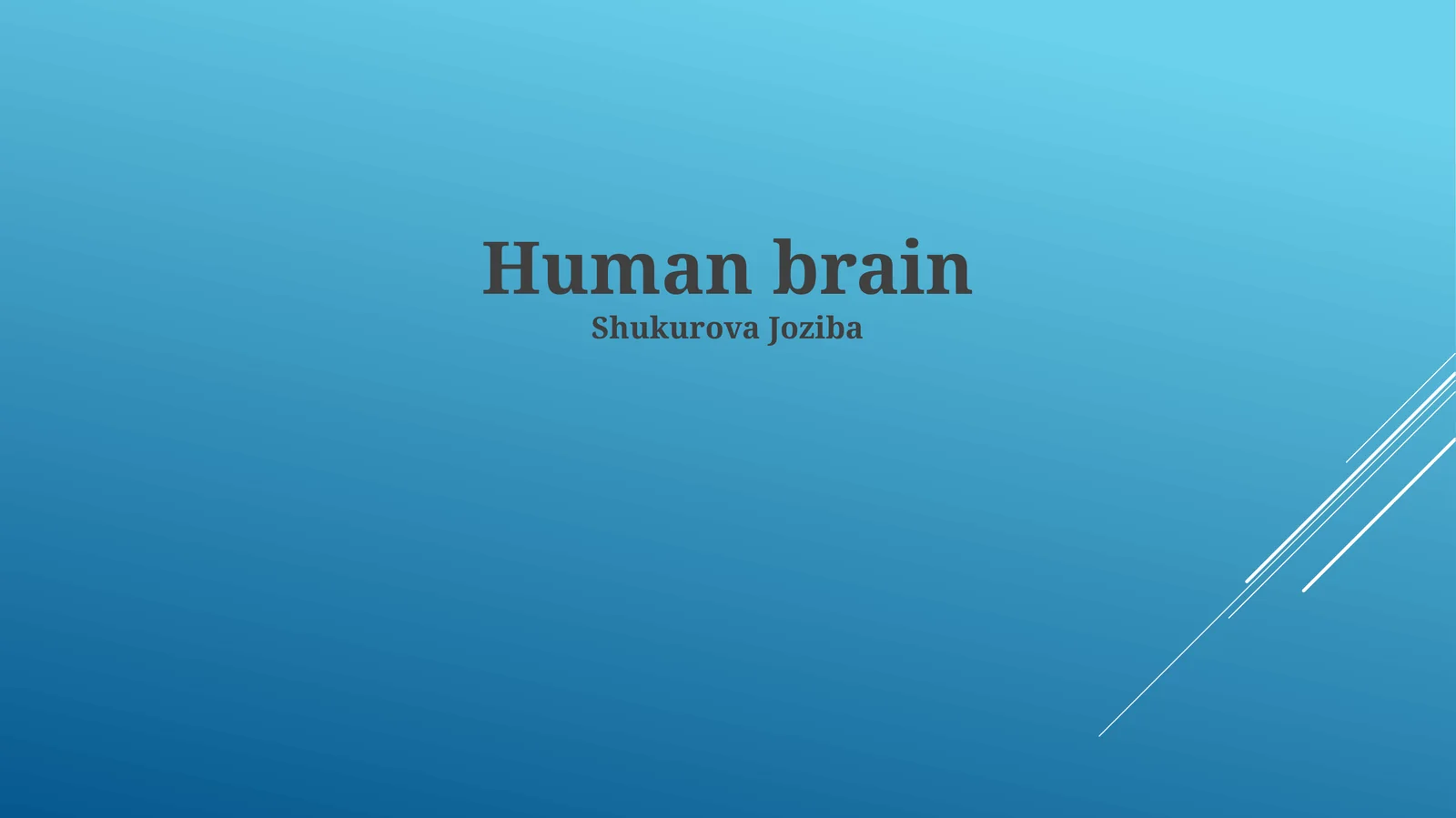 Human brain