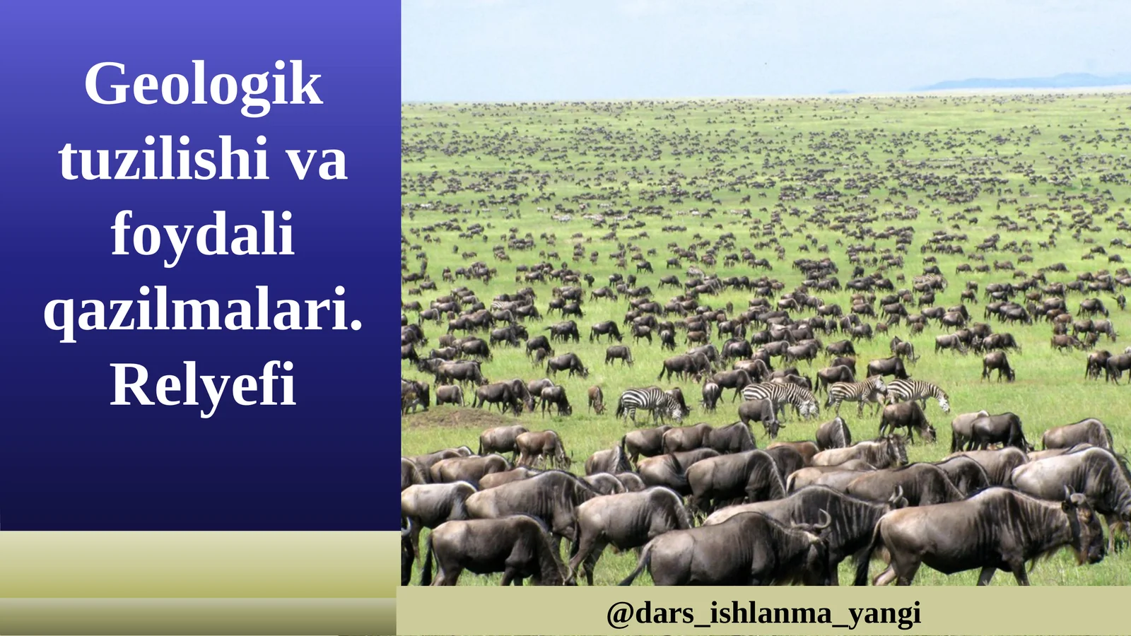 Geologik tuzilishi va foydali qazilmalari