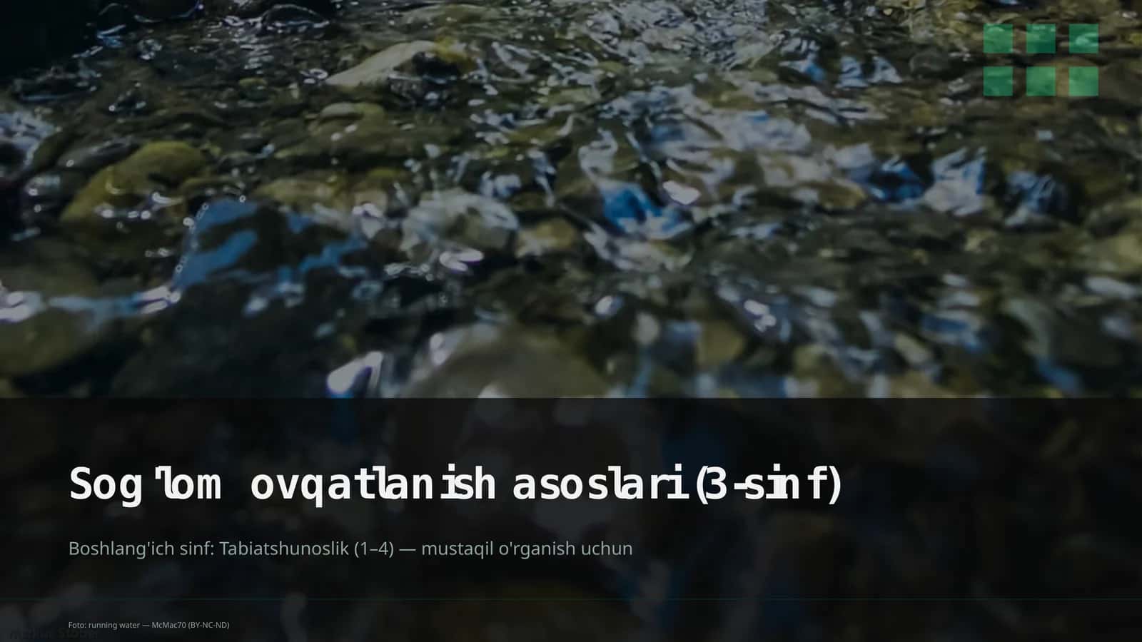 Sog'lom ovqatlanish asoslari (3-sinf)