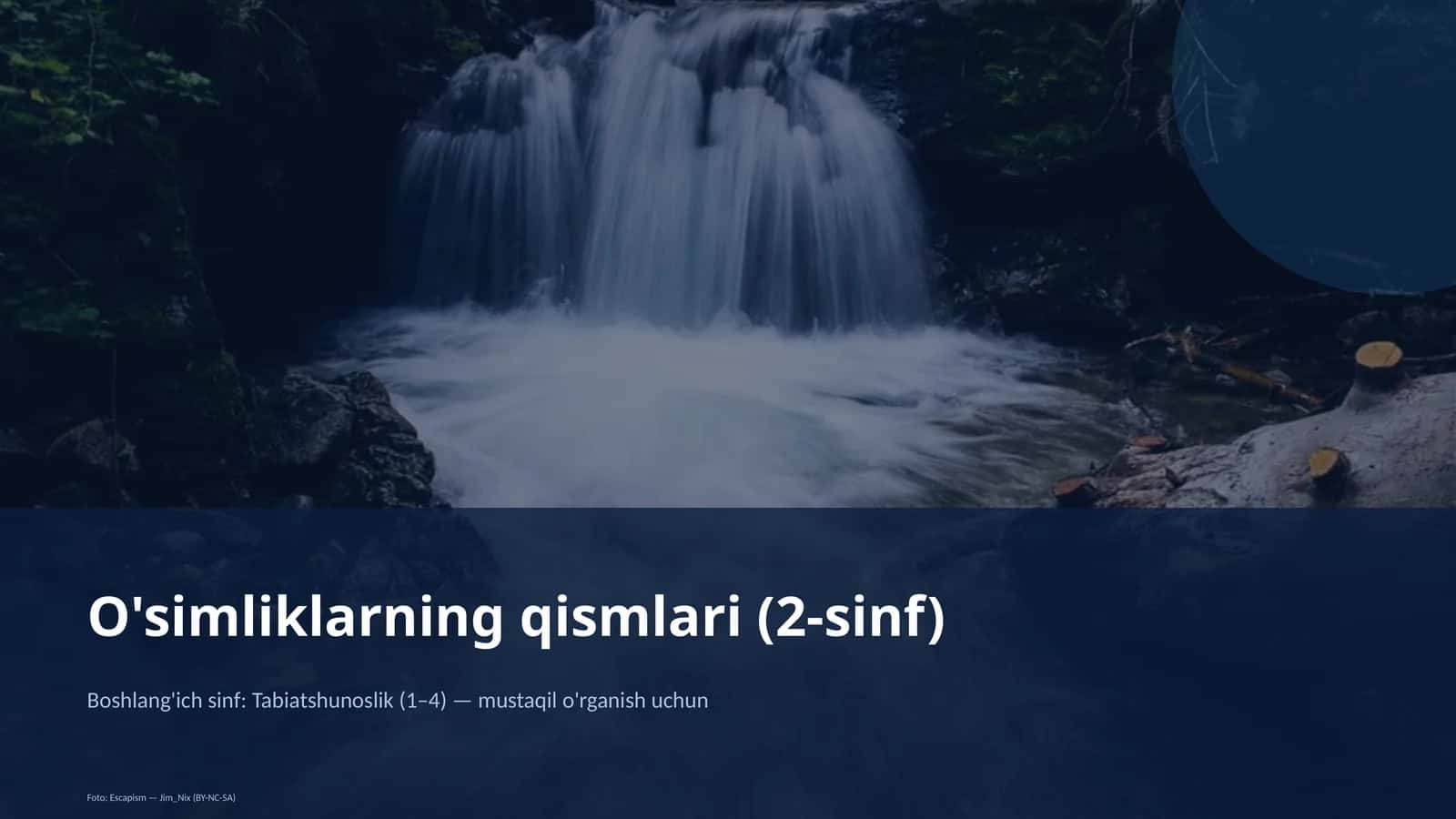 O'simliklarning qismlari (2-sinf)