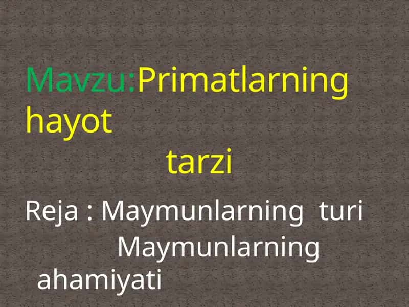 Primatlarning hayot  tarzi