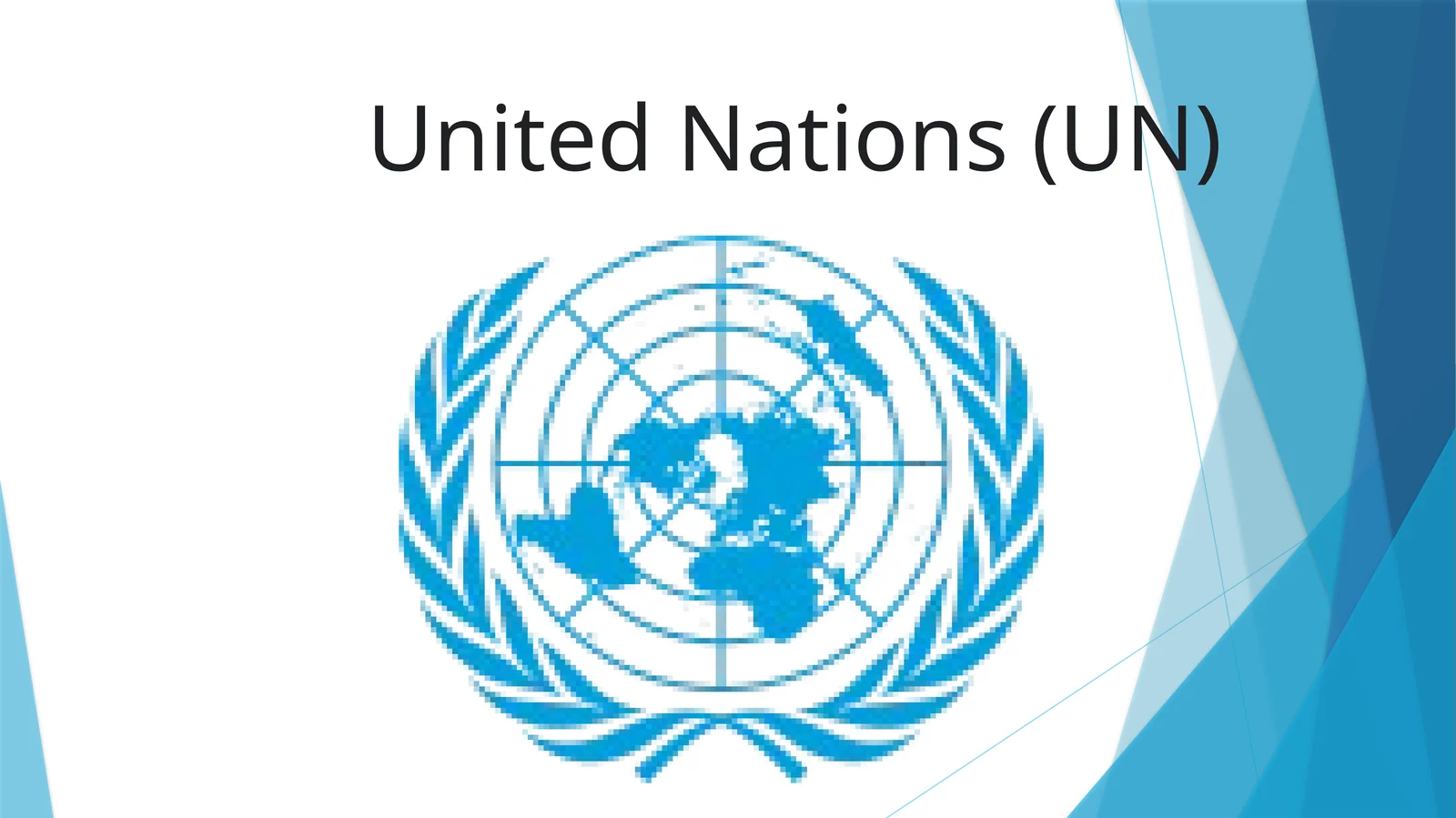 International organization