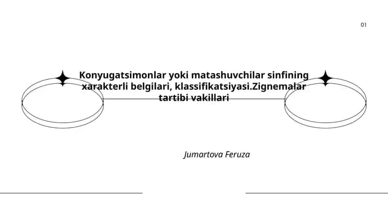 Konyugatsimonlar yoki matashuvchilar sinfining xarakterli belgilari, klassifikatsiyasi