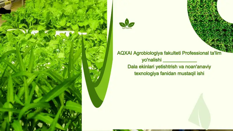 Yashab turgan hududda yetishtiriladigan asosiy ekinlar va ularning almashlab ekish tizimidagi o'rni.