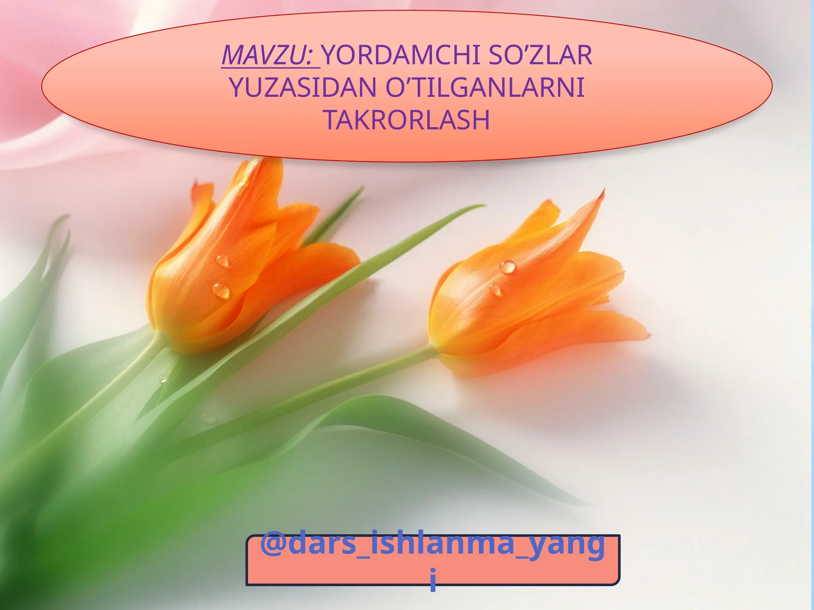 Yordamchi So’zlar Yuzasidan O’tilganlarni Takrorlash