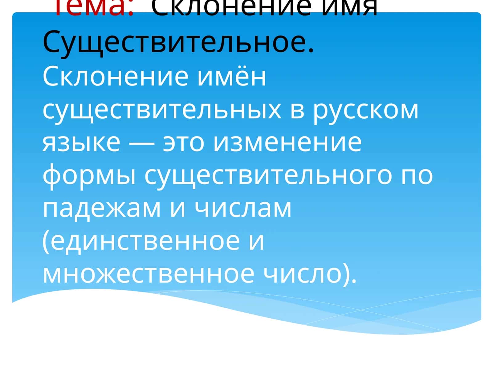 Склонение имён существительных в русском языке