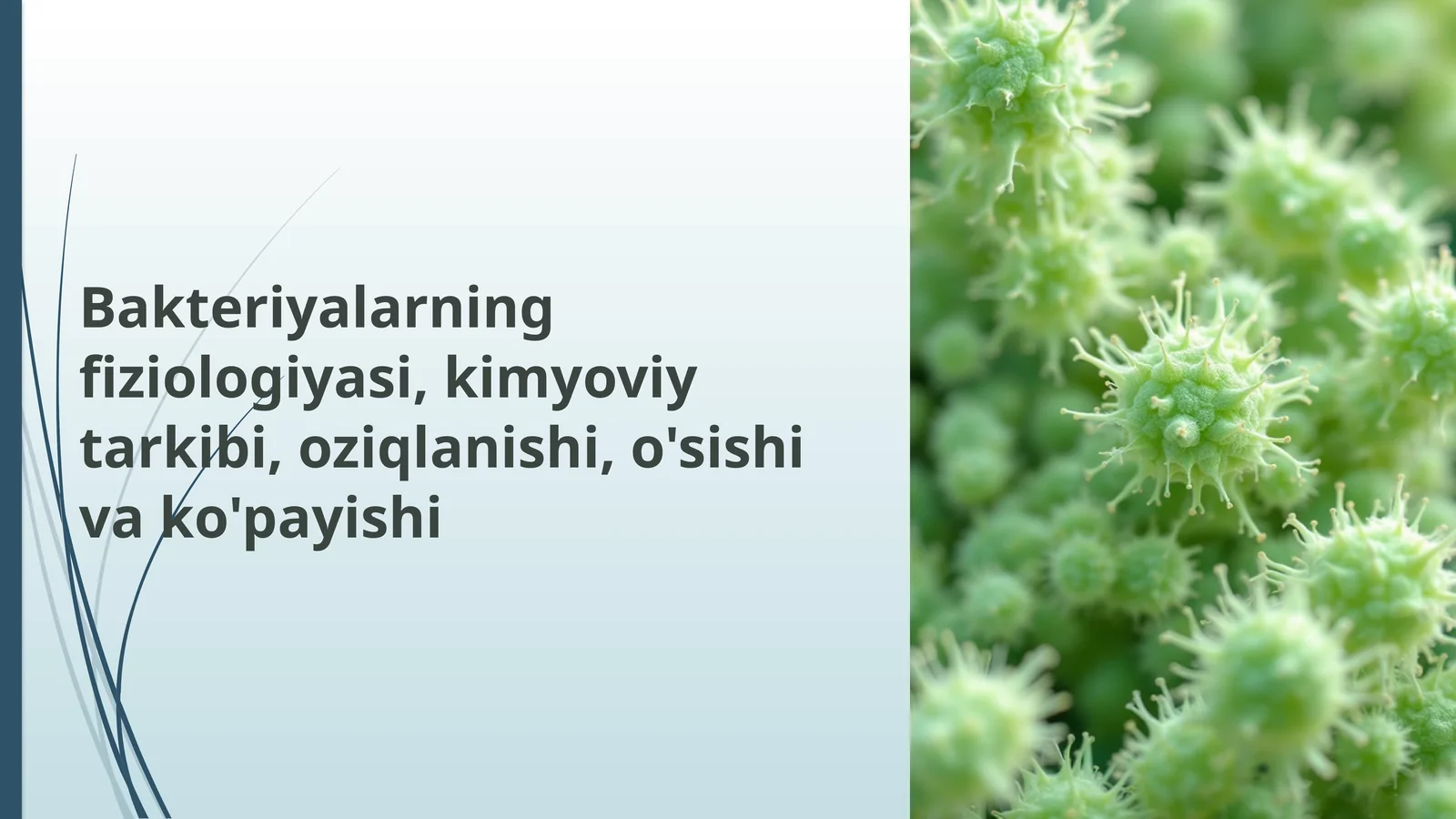 Bakteriyalarning fiziologiyasi, kimyoviy tarkibi, oziqlanishi, o'sishi va ko'payishi