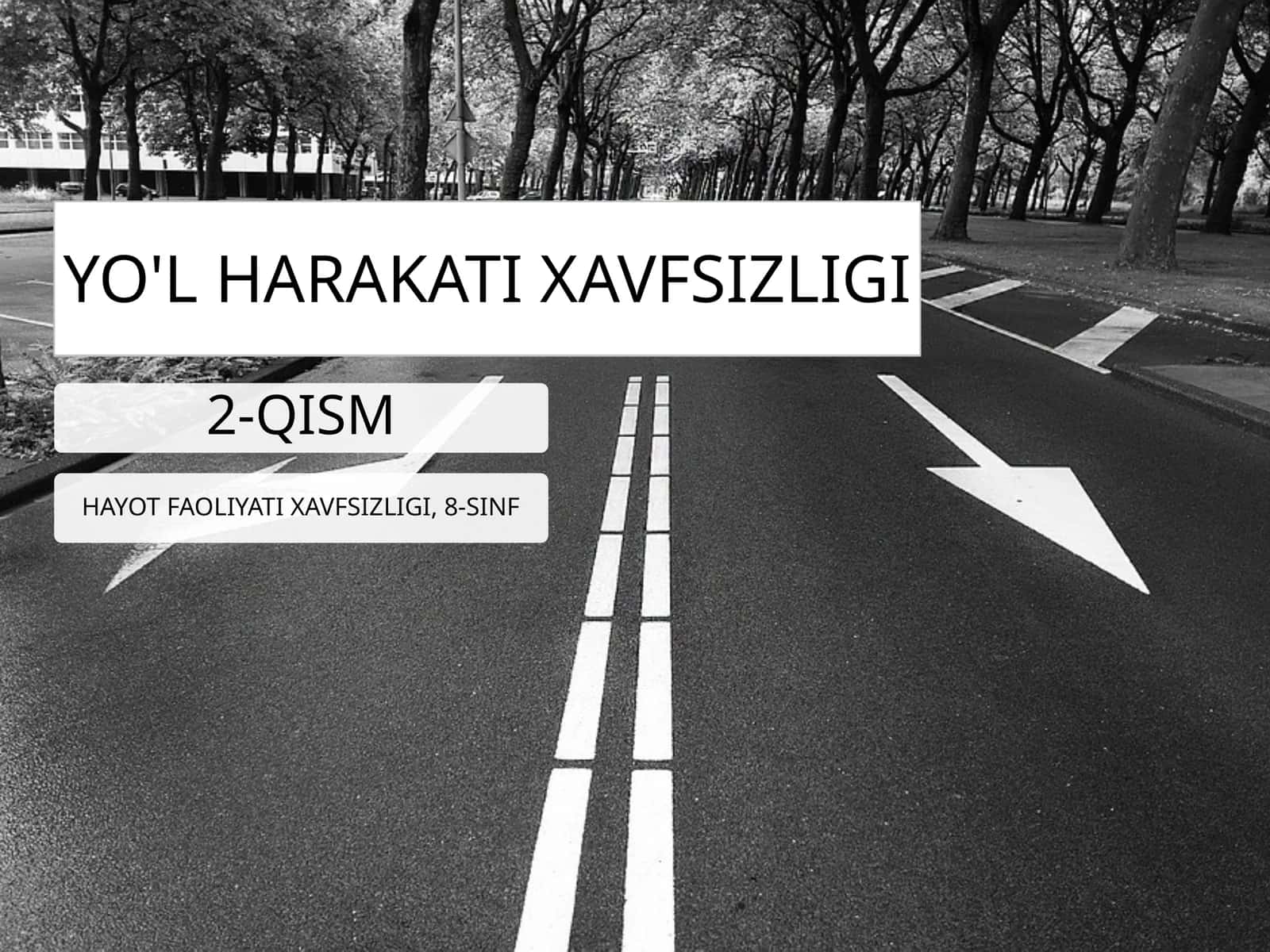 Hayot xavfsizligi - Yo'l harakati xavfsizligi (2-qism)