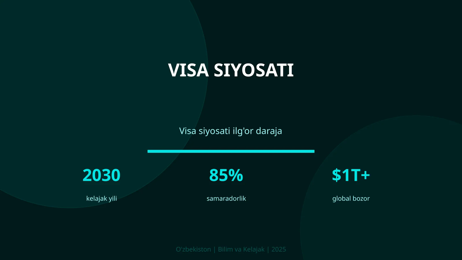 VISA SIYOSATI