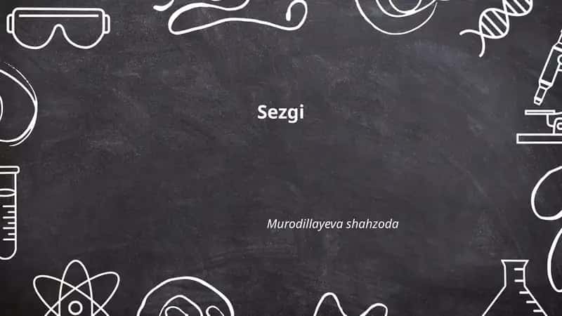 Sezgi
