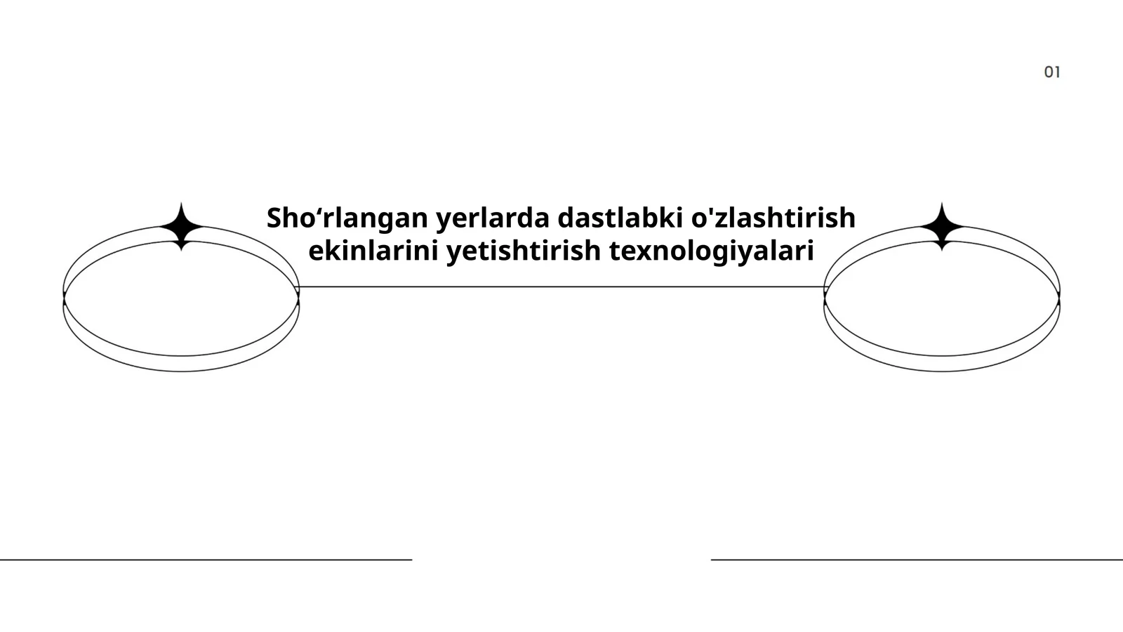 Shoʻrlangan yerlarda dastlabki o'zlashtirish ekinlarini yetishtirish texnologiyalari